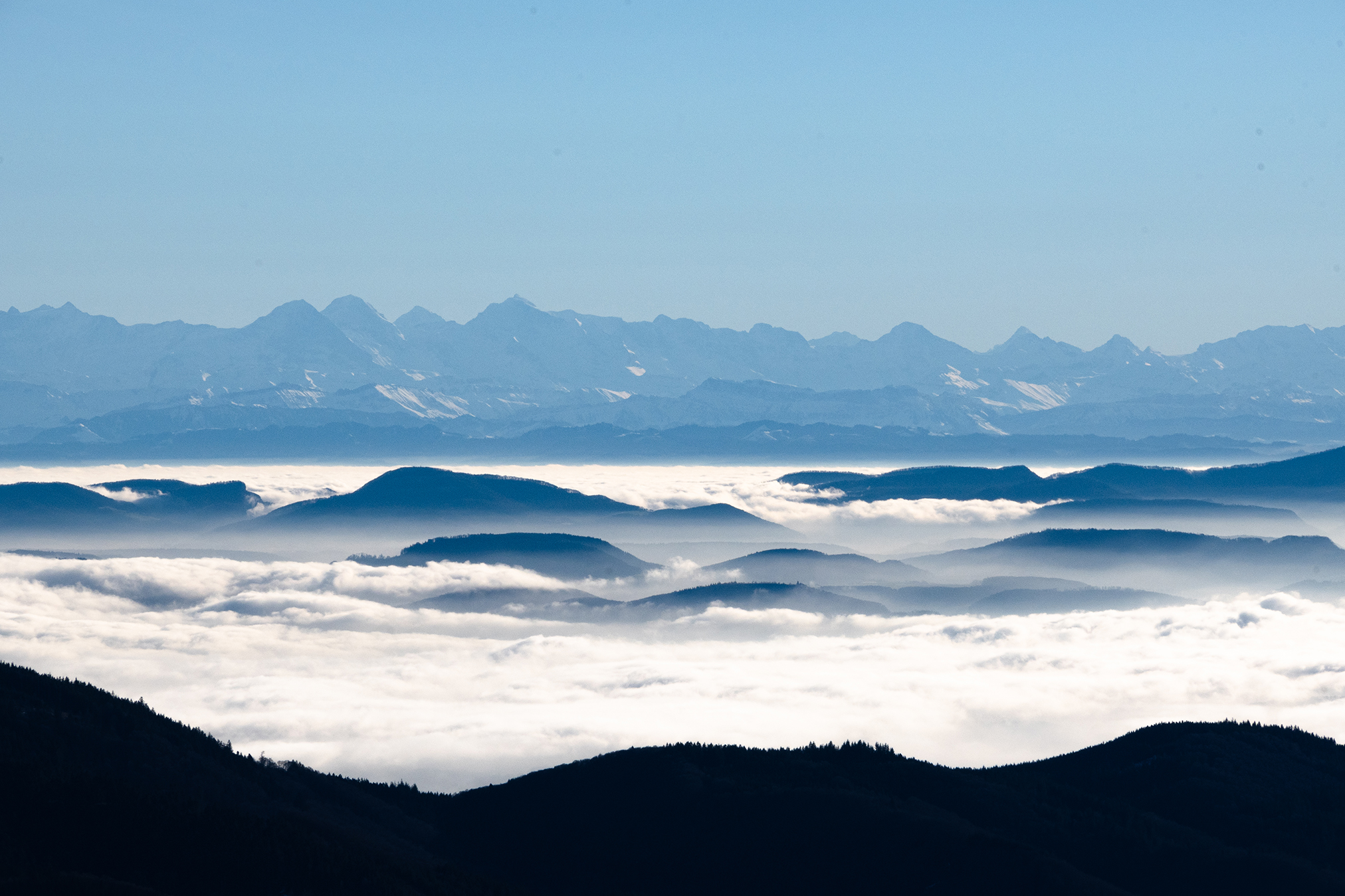 Fotos © Gudrun Gempp, Blick vom Belchen/Schwarzwald nach Süden. Nebel über dem Mittelgebirge, strahlend blauer Himmel, am Horizont sieht man die Alpen