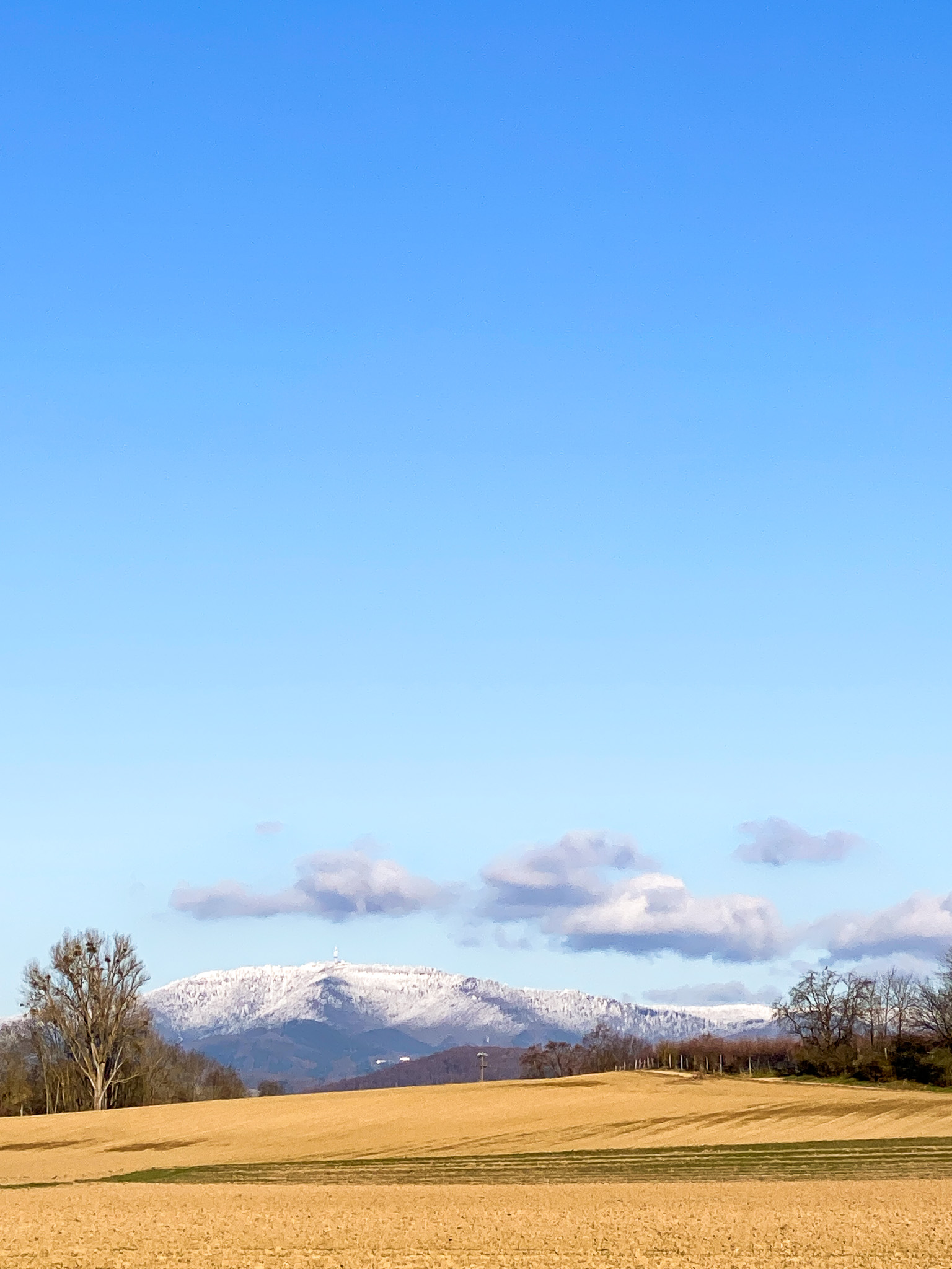 Blick in Richung Norden in den Schwarzwald. In der Ferne der Hochblauen.